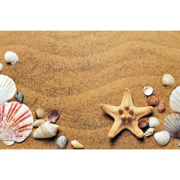 Order cutoff dates and annual holiday closure Order cutoff dates and annual holiday closure